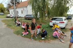 inbound5052603433290228074