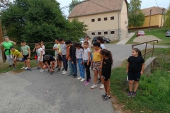 inbound80756054106227733