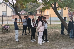 inbound2665784167385036355