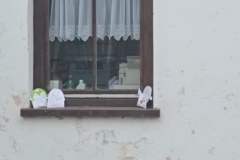 inbound2948087092805985467