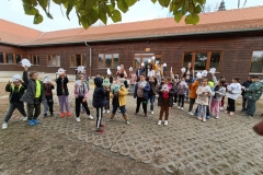 inbound4973066681870145278