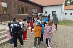 inbound5779217753417885132