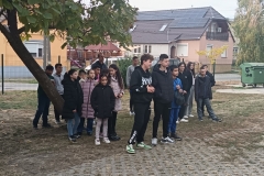 inbound6260084696089455733