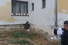 inbound6366056812081743845