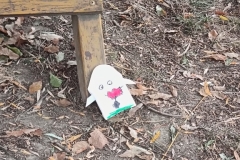 inbound861266900439449762