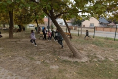 inbound8927887765155963399