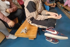 inbound2271234021463547979