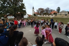 inbound3757820746042463264