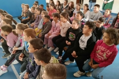 inbound3785821076253062781