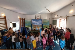 inbound4261268060963396351