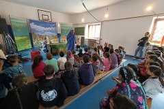 inbound50798369790020355