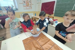 inbound3224249275233117060