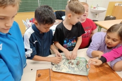 inbound3630448642102299066