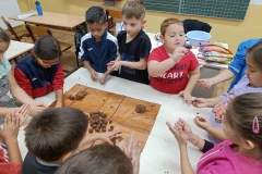 inbound4972559832151337718