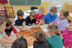 inbound4978024483174886135