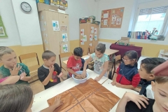 inbound7261383872526818832