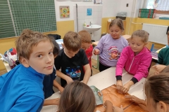 inbound7362404832820403372