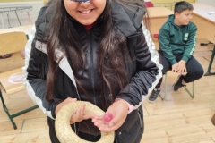 inbound7678375684586636448