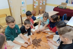 inbound8022564052974480570