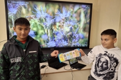 inbound3853559594148333649