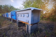 inbound3865802387684592042