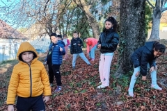 inbound534413659584699140