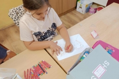 inbound8059584953755516472